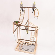 Aire de jeux pour oiseaux pour