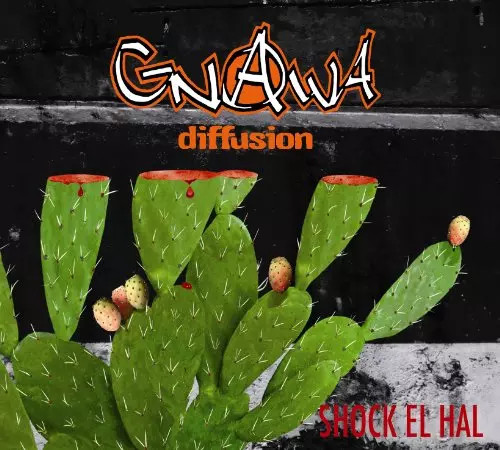 Shok hal gnawa diffusion - el,
