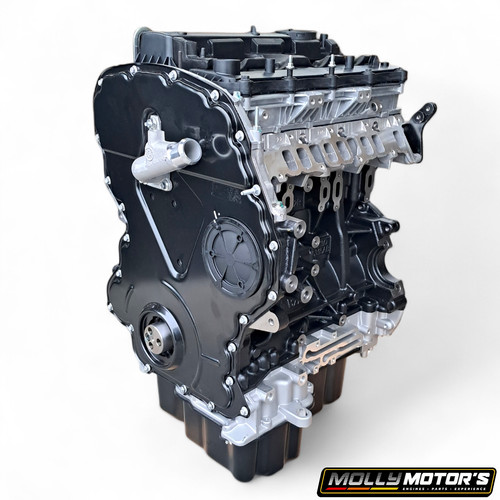 Nouveau moteur pour land - pour, rover