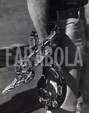 Photo de presse vintage