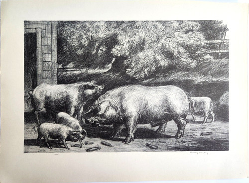 Hogs near corncrib harry - near,