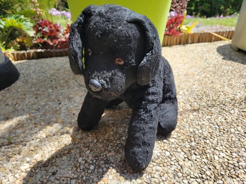 Ancienne peluche chien - peluche,