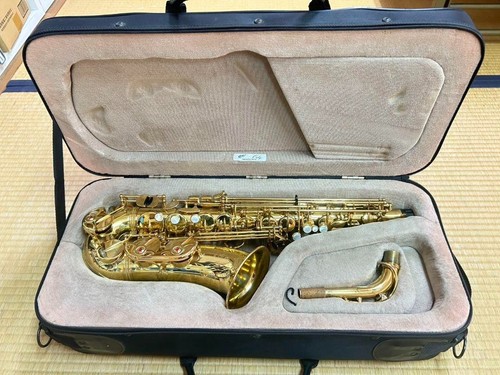 Yanagisawa 900μ - yanagisawa, a-900μ