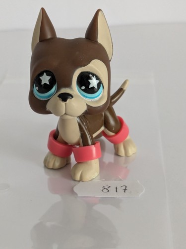 Petshop chien dog argentin - dog, 817