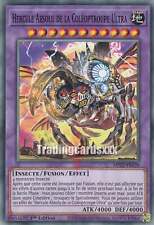 Yu-Gi-Oh! Hercule Absolu de la Coléoptroupe Ultra : C MP22-FR239