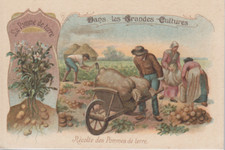 Chromo dans les grandes