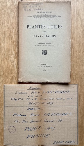 Plantes utiles des - des, chauds