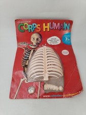 A La Découverte Du Corps