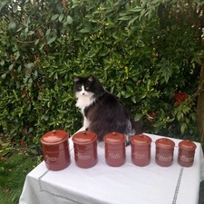 Pots à épices anciens rouges