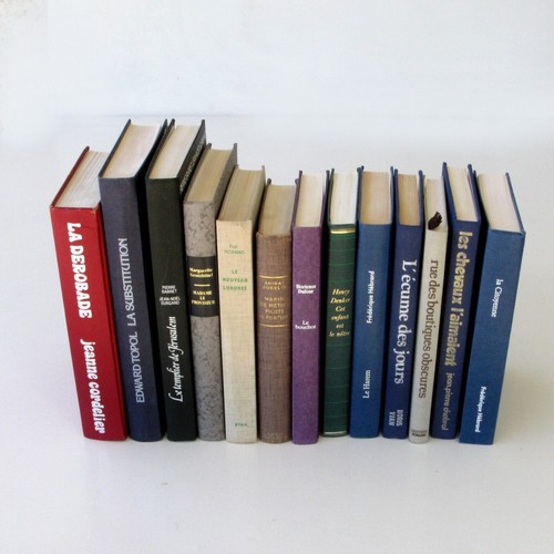 Lot livres romans grand - 13,