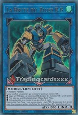 Yu-Gi-Oh! La Brute du Blues R.B. : UR DUAD-FR094
