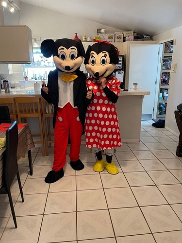 Adulte mickey minnie mouse - adulte,