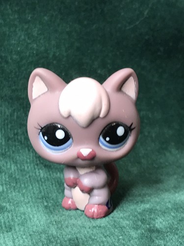 Petshop chaton 2285 - 🌺petshop,