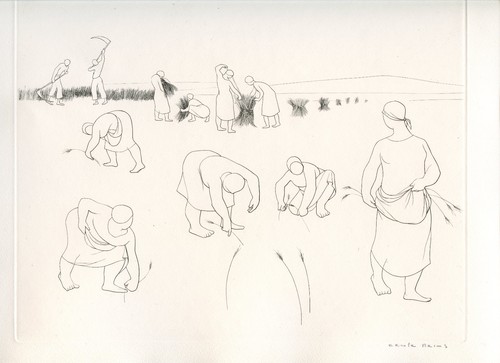 Reims cécile gravure - reims, 1951