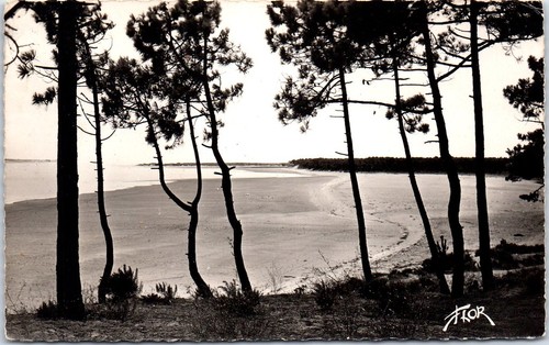 Saint trojan carte postale - carte,