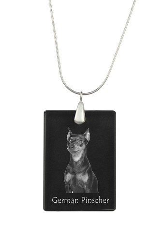 Allemande pinscher - allemande,