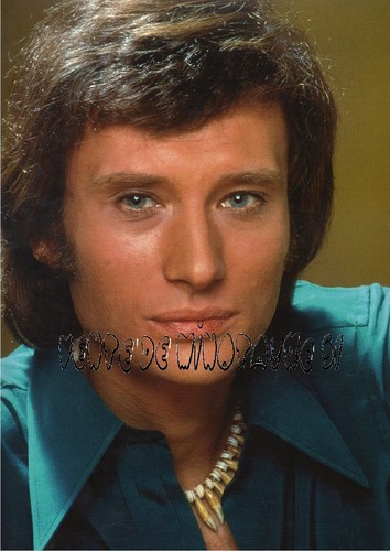 Johnny hallyday visage - hallyday, gros