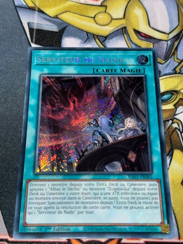 Carte serviteur du - yu, gi