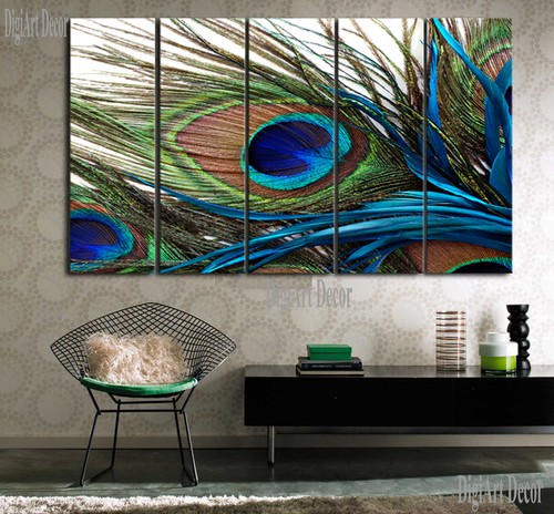 Peacock feather framed - peacock, framed/mounted