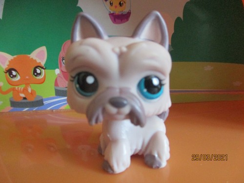 Petshop chien westie 1201 - westie, #1201