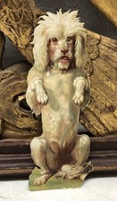 Dog in Standing Position