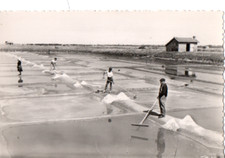 Carte postale ILE D'OLERON - SAINT-TROJAN-LES-BAINS. Les Marais salants