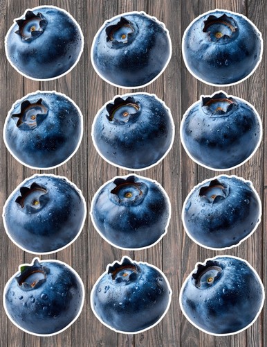 Big blueberry die - blueberry, vinyl