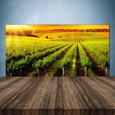 Crédence de cuisine en verre