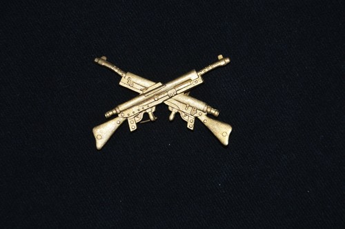 Insigne specialite - insigne, de