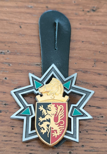Insigne régiment du - insigne,