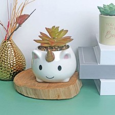  Décoration de fleurs de