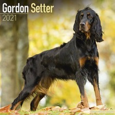 Calendrier 2021 - SETTER