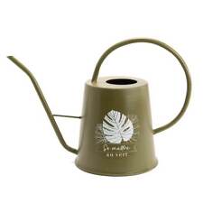 Arrosoir en métal vert