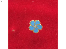 Lot de 10 pins myosotis franc