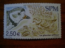 Saint Pierre et miquelon num PA 85 ** MNH en 2005 Oiseau Bird Pluvier siffleur