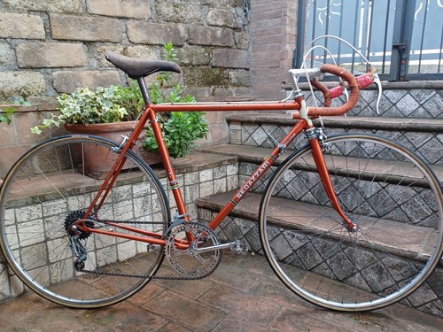Vélo course sedazzari - vélo,