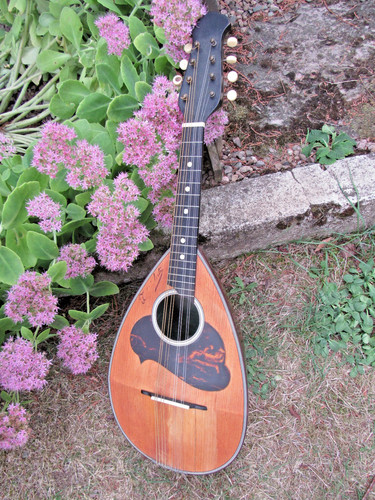 Ancienne mandoline signée - mandoline,