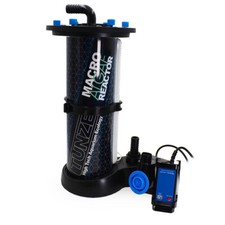 MAR 3181 Macro Algae Chaeto