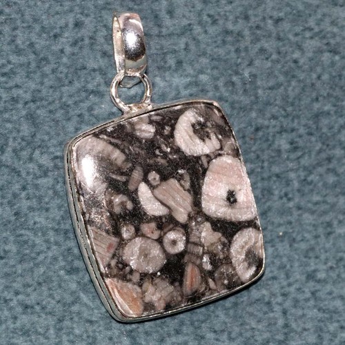 Pendentif fossile crinoïde - pendentif,