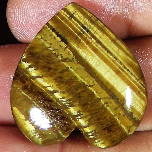 Cts 100 naturel tigre - 37.55,