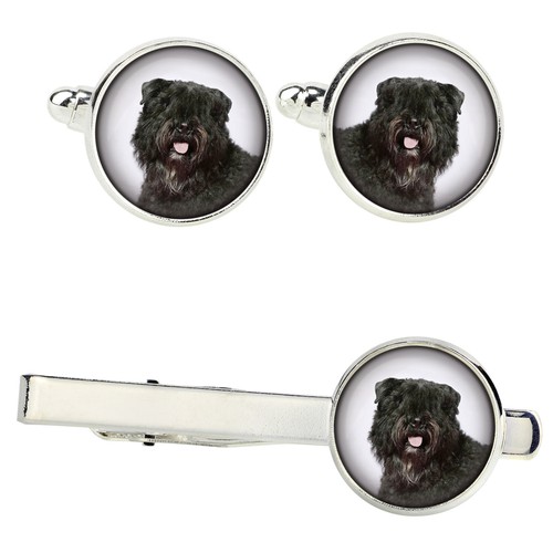 Bouvier des flandres - bouvier,