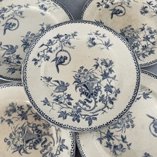 CREIL ET MONTEREAU lot 5 assiettes à dessert terre de fer décor PERRUCHE ~20.5cm