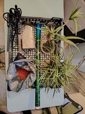 Lot D’accessoires Pour aquarium