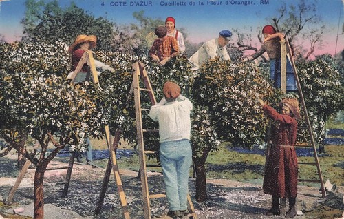 Carte postale ancienne card