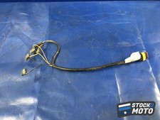 Faisceau feux arrière DUCATI