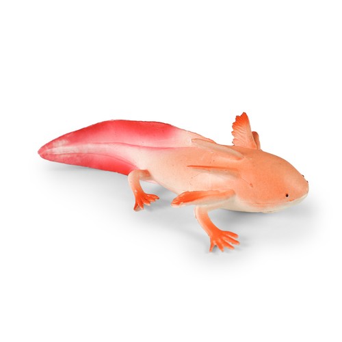 Axolotl cm - axolotl,