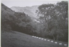 RICHARD NONAS / BERNARD PLOSSU