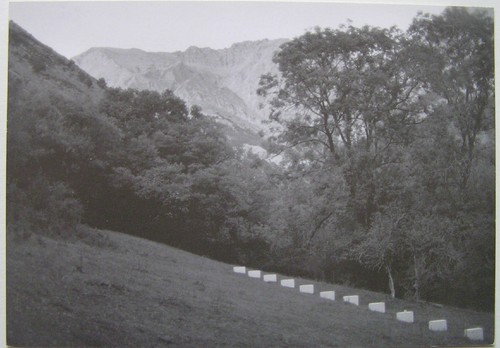 Richard nonas bernard plossu - nonas, /