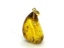 Pendentif Ambre Insecte