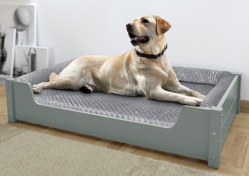 Lit luxueux pour - , animaux,